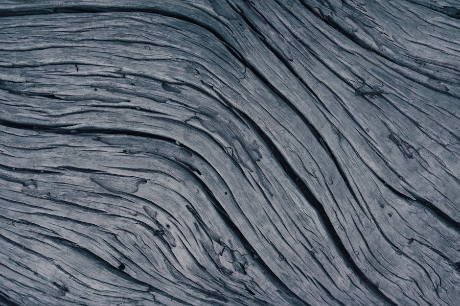 Close up of natural wood grain texture